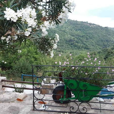 Filoxenia- Drakia Villa Dhrákia Bagian luar foto